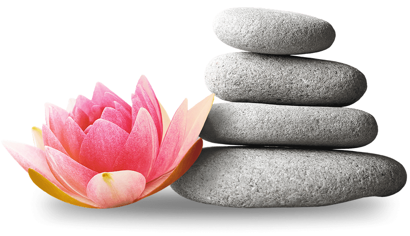 Pink lotus next to stacked spa stones